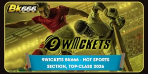9Wickets BK666 - Hot Sports Section, top-class 2026