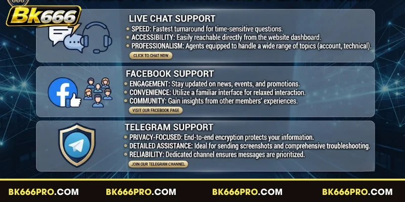 Channels To Contact BK666 Effectively