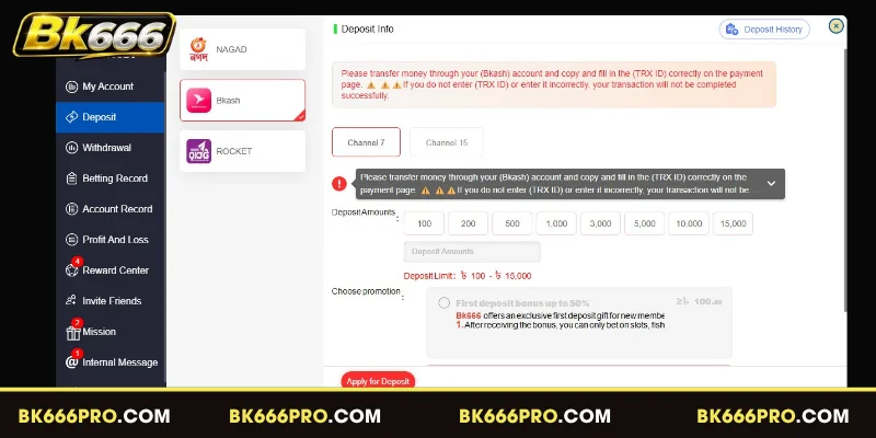 Detailed deposit process for the BK666 program