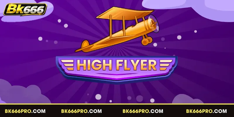  Introduction to High Flyer