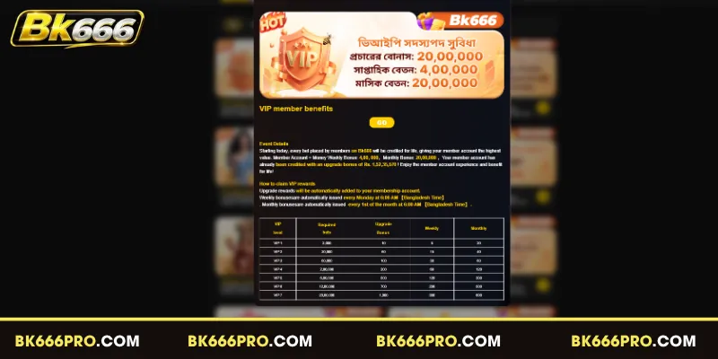 Learn How the BK666 VIP Program Functions