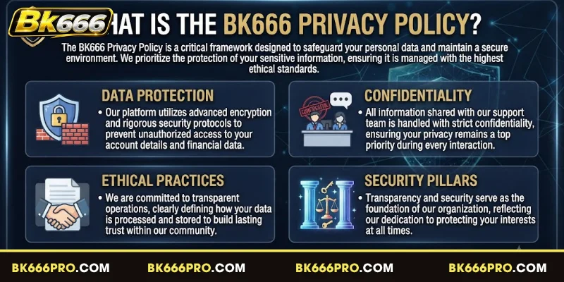 Understanding BK666 Privacy Policy