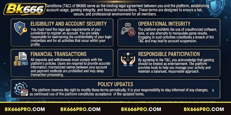 Understanding the BK666 Terms and Conditions