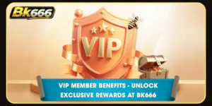 VIP Member Benefits - Unlock Exclusive Rewards at BK666