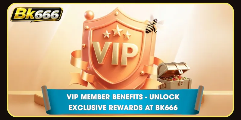 VIP Member Benefits - Unlock Exclusive Rewards at BK666