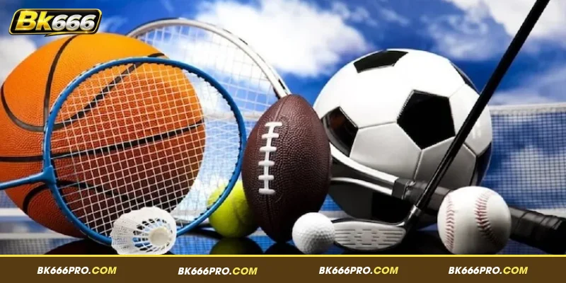 Overview of BK666 Sports